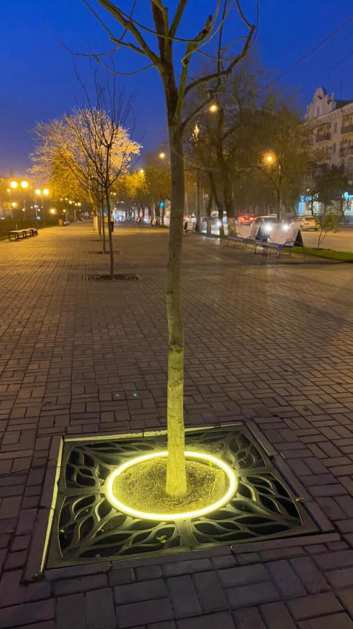 Приствольная решетка для дерева ZKING CRUST 1.2х1.2м Черная в Клину фото